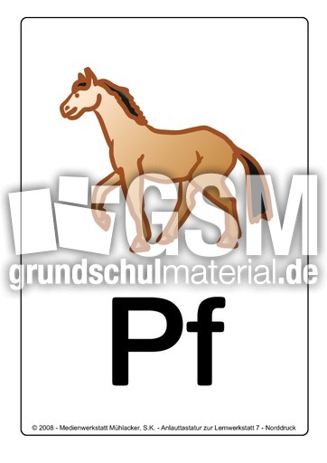 pf-pferd.pdf